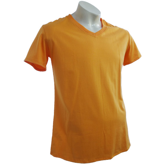 (T16S) Troy V-neck