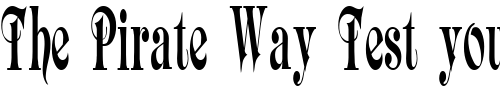 Font : Aspen-Plain Custom Text : The Pirate Way Test your own text here Click to download or to view this font on a tshirt that can be custom printed in Bali