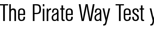 Font : AtkinsCondLight-Regular Custom Text : The Pirate Way Test your own text here Click to download or to view this font on a tshirt that can be custom printed in Bali