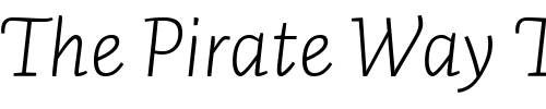 Font : Auto2-LightItalic Custom Text : The Pirate Way Test your own text here Click to download or to view this font on a tshirt that can be custom printed in Bali
