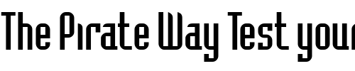 Font : BadlocICG Custom Text : The Pirate Way Test your own text here Click to download or to view this font on a tshirt that can be custom printed in Bali