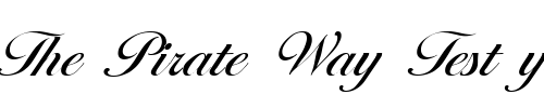 Font : Ballantines-Regular Custom Text : The Pirate Way Test your own text here Click to download or to view this font on a tshirt that can be custom printed in Bali
