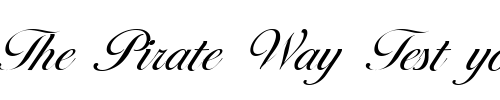 Font : Ballantines-Serial-Light-Regular Custom Text : The Pirate Way Test your own text here Click to download or to view this font on a tshirt that can be custom printed in Bali