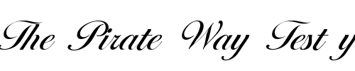 Font : Ballantines-Serial-Regular-DB Custom Text : The Pirate Way Test your own text here Click to download or to view this font on a tshirt that can be custom printed in Bali