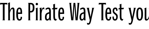 Font : Baltra-GD Custom Text : The Pirate Way Test your own text here Click to download or to view this font on a tshirt that can be custom printed in Bali