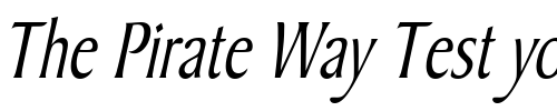 Font : Barrett-Thin-Italic Custom Text : The Pirate Way Test your own text here Click to download or to view this font on a tshirt that can be custom printed in Bali