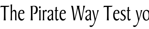 Font : Barrett-Thin-Normal Custom Text : The Pirate Way Test your own text here Click to download or to view this font on a tshirt that can be custom printed in Bali