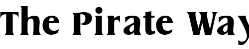 Font : BaryonDisplaySSK Custom Text : The Pirate Way Test your own text here Click to download or to view this font on a tshirt that can be custom printed in Bali