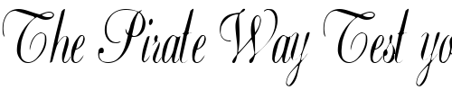 Font : BasicClassA156a-Regular-ttcon Custom Text : The Pirate Way Test your own text here Click to download or to view this font on a tshirt that can be custom printed in Bali