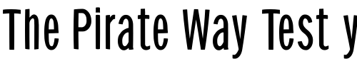 Font : BellySansCondensed Custom Text : The Pirate Way Test your own text here Click to download or to view this font on a tshirt that can be custom printed in Bali