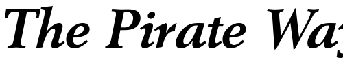 Font : BergoniaDB-BoldItalic Custom Text : The Pirate Way Test your own text here Click to download or to view this font on a tshirt that can be custom printed in Bali