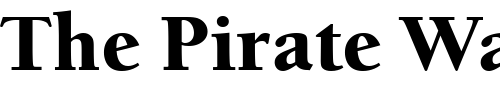 Font : BerkeleyOldStyItcTEEBla Custom Text : The Pirate Way Test your own text here Click to download or to view this font on a tshirt that can be custom printed in Bali