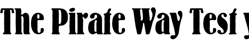 Font : BernhardAntDBolCon Custom Text : The Pirate Way Test your own text here Click to download or to view this font on a tshirt that can be custom printed in Bali
