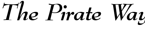 Font : BernhardModern-BoldItalic Custom Text : The Pirate Way Test your own text here Click to download or to view this font on a tshirt that can be custom printed in Bali