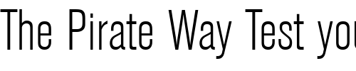 Font : Berthold-Akzidenz-Grotesk-BE-Light-Condensed Custom Text : The Pirate Way Test your own text here Click to download or to view this font on a tshirt that can be custom printed in Bali