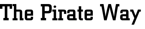 Font : Berthold-City-Medium Custom Text : The Pirate Way Test your own text here Click to download or to view this font on a tshirt that can be custom printed in Bali