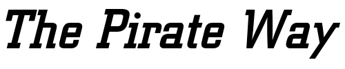 Font : Berthold-City-Medium-Italic Custom Text : The Pirate Way Test your own text here Click to download or to view this font on a tshirt that can be custom printed in Bali