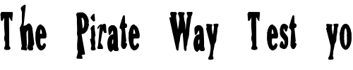 Font : Bird Custom Text : The Pirate Way Test your own text here Click to download or to view this font on a tshirt that can be custom printed in Bali