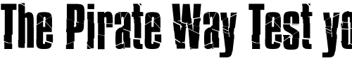 Font : Bison Custom Text : The Pirate Way Test your own text here Click to download or to view this font on a tshirt that can be custom printed in Bali