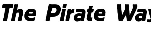 Font : BlockBerthold-Italic Custom Text : The Pirate Way Test your own text here Click to download or to view this font on a tshirt that can be custom printed in Bali