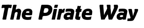 Font : BlockTReg-Italic Custom Text : The Pirate Way Test your own text here Click to download or to view this font on a tshirt that can be custom printed in Bali