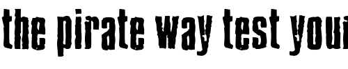 Font : BlueCake Custom Text : The Pirate Way Test your own text here Click to download or to view this font on a tshirt that can be custom printed in Bali