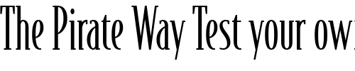 Font : BodegaSerif-Light Custom Text : The Pirate Way Test your own text here Click to download or to view this font on a tshirt that can be custom printed in Bali