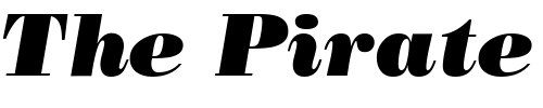 Font : BodoniPosterUltra-RegularItalic Custom Text : The Pirate Way Test your own text here Click to download or to view this font on a tshirt that can be custom printed in Bali