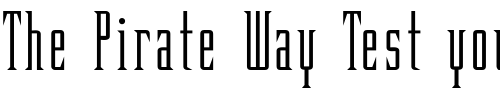 Font : BonaireLightSSK Custom Text : The Pirate Way Test your own text here Click to download or to view this font on a tshirt that can be custom printed in Bali