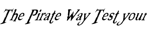 Font : Booter---Zero-One Custom Text : The Pirate Way Test your own text here Click to download or to view this font on a tshirt that can be custom printed in Bali
