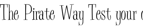 Font : Bud-Easy-Normal Custom Text : The Pirate Way Test your own text here Click to download or to view this font on a tshirt that can be custom printed in Bali