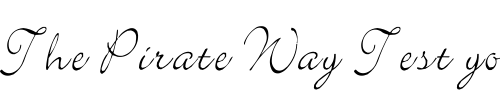 Font : CSJun2001 Custom Text : The Pirate Way Test your own text here Click to download or to view this font on a tshirt that can be custom printed in Bali
