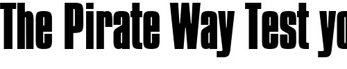 Font : Commador-Heavy-Normal Custom Text : The Pirate Way Test your own text here Click to download or to view this font on a tshirt that can be custom printed in Bali