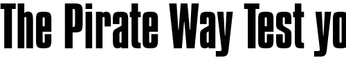 Font : Commador-Normal Custom Text : The Pirate Way Test your own text here Click to download or to view this font on a tshirt that can be custom printed in Bali