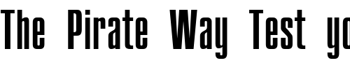Font : CompactCTT Custom Text : The Pirate Way Test your own text here Click to download or to view this font on a tshirt that can be custom printed in Bali