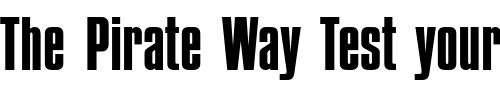 Font : Compacta-D Custom Text : The Pirate Way Test your own text here Click to download or to view this font on a tshirt that can be custom printed in Bali