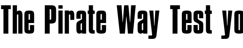 Font : Compacta-ICG Custom Text : The Pirate Way Test your own text here Click to download or to view this font on a tshirt that can be custom printed in Bali