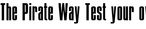 Font : Compacta-ICG-Light Custom Text : The Pirate Way Test your own text here Click to download or to view this font on a tshirt that can be custom printed in Bali