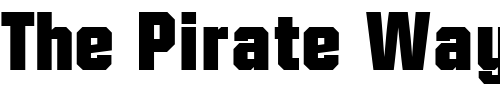 Font : ConexDisplaySSK Custom Text : The Pirate Way Test your own text here Click to download or to view this font on a tshirt that can be custom printed in Bali