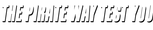 Font : Containment-Shade Custom Text : The Pirate Way Test your own text here Click to download or to view this font on a tshirt that can be custom printed in Bali