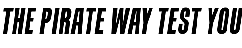 Font : Containment-Solid Custom Text : The Pirate Way Test your own text here Click to download or to view this font on a tshirt that can be custom printed in Bali