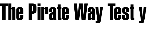 Font : Context-Extra-Condensed-SSi-Extra-Condensed Custom Text : The Pirate Way Test your own text here Click to download or to view this font on a tshirt that can be custom printed in Bali