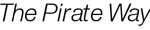 Font : ContextRepriseLightSSK-BoldItalic Custom Text : The Pirate Way Test your own text here Click to download or to view this font on a tshirt that can be custom printed in Bali