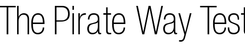 Font : ContextRepriseThinCondSSK Custom Text : The Pirate Way Test your own text here Click to download or to view this font on a tshirt that can be custom printed in Bali