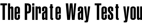 Font : ContextUltraCondSSK Custom Text : The Pirate Way Test your own text here Click to download or to view this font on a tshirt that can be custom printed in Bali