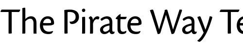 Font : Cronos-Display Custom Text : The Pirate Way Test your own text here Click to download or to view this font on a tshirt that can be custom printed in Bali