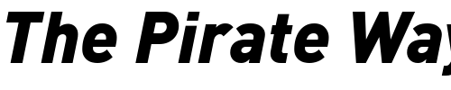 Font : DIN-BlackItalic Custom Text : The Pirate Way Test your own text here Click to download or to view this font on a tshirt that can be custom printed in Bali