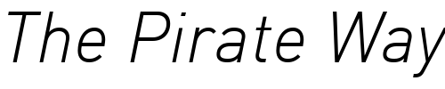 Font : DIN-LightItalic Custom Text : The Pirate Way Test your own text here Click to download or to view this font on a tshirt that can be custom printed in Bali