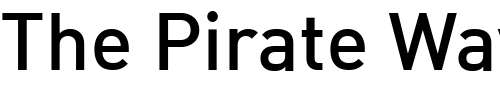 Font : DIN-MediumAlternate Custom Text : The Pirate Way Test your own text here Click to download or to view this font on a tshirt that can be custom printed in Bali