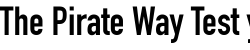 Font : DINEngschrift Custom Text : The Pirate Way Test your own text here Click to download or to view this font on a tshirt that can be custom printed in Bali